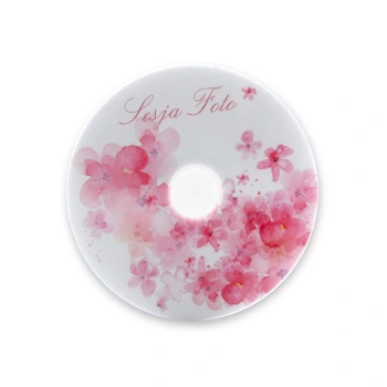 Płyta TS Sesja Foto (DVD-R 4,7GB 16x)