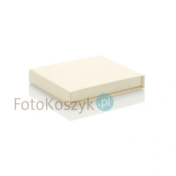 Uniwersalne Pudełko na Pendrive Krem (magnes)