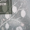 Album na zdjęcia wsuwane Shine Pąki (200 zdjęć 10x15)