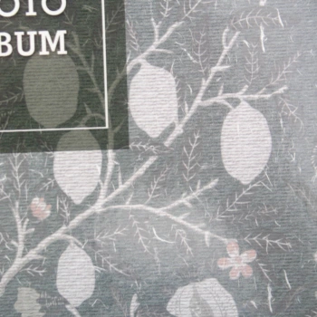Album na zdjęcia wsuwane Shine Pąki (200 zdjęć 10x15)