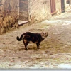 Album Lotmar Siesta kot (100 stron pod folię)
