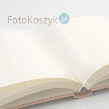 Album wklejany Lotmar Simple jasny (tradycyjny 60 kremowych stron)