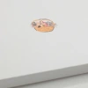Teczka zajączki wielkanocne na zdjęcia 15x21