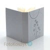 Album Panodia Tess srebrny (tradycyjny 100 kremowych stron)