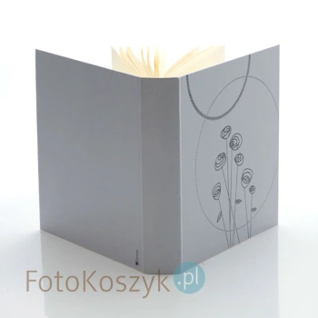 Album Panodia Tess srebrny (tradycyjny 100 kremowych stron)