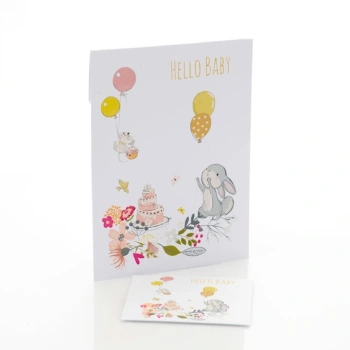 Koperta na zdjęcia 10x15 i 13x18 Hello Baby!