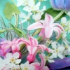 Album wsuwany Turi (200 zdjęcia 10x15)