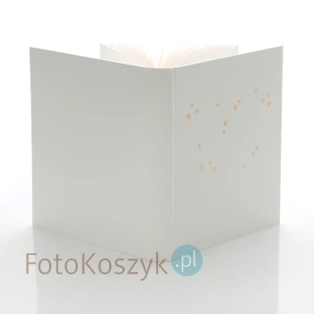 Album Ślubny Walther Sentimental (tradycyjny 50 kremowych stron)