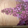 Album na zdjęcia wklejane Viola (tradycyjny 100 czarnych stron)