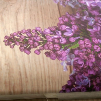 Album na zdjęcia wklejane Viola (tradycyjny 100 czarnych stron)