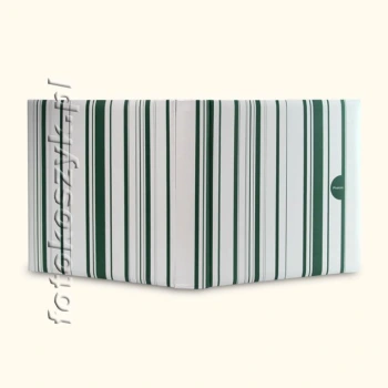 Album Color StripesZ (tradycyjny 100 białych stron)