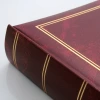 Album na zdjęcia wsuwane Classic bordo (100 zdjęć 15x21)