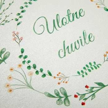 Album harmonijka na zdjęcia 10x15 Ulotne chwile (5 białych kart)