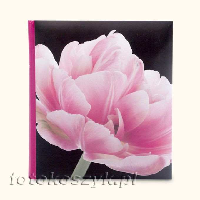 Album Innova Botanics Róża (tradycyjny 100 białych stron) Innova Q6702231