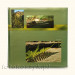 Album Voyager Zielony (500 zdjęć 10x15) Fandy 232 142z