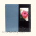 Album Secret Niebieski (100 stron pod folię) Gedeon 5640