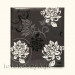 Album Gedeon B&W Czerń XL (tradycyjny 60 czarnych stron) Gedeon DBCL30 Black & White Bl/bl